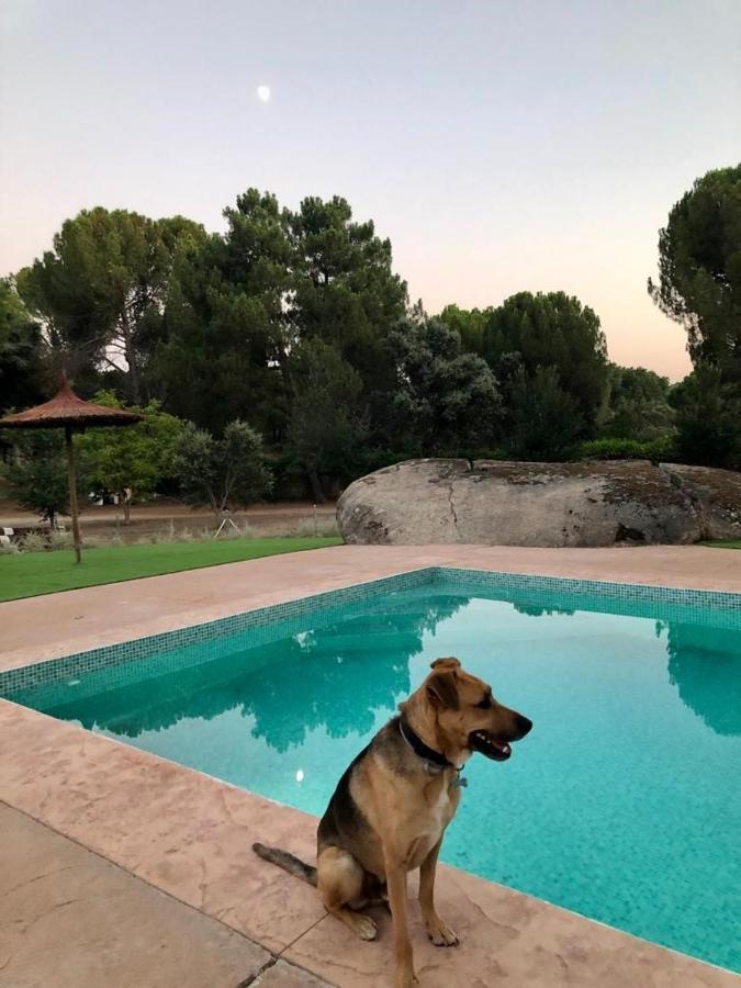 אל טיימבלו Casa Valdesanmartin - Country House, 10500Sqm, Pool, Paddel & Bbq מראה חיצוני תמונה